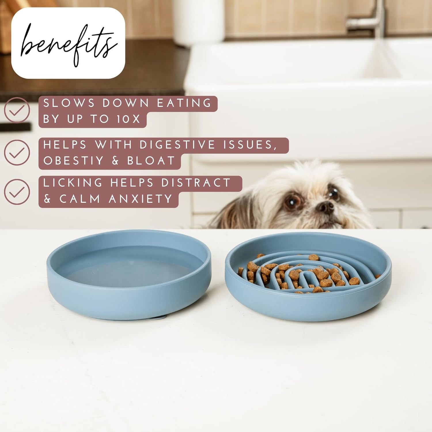 Silicone Slow Feeder Bowl for Dogs