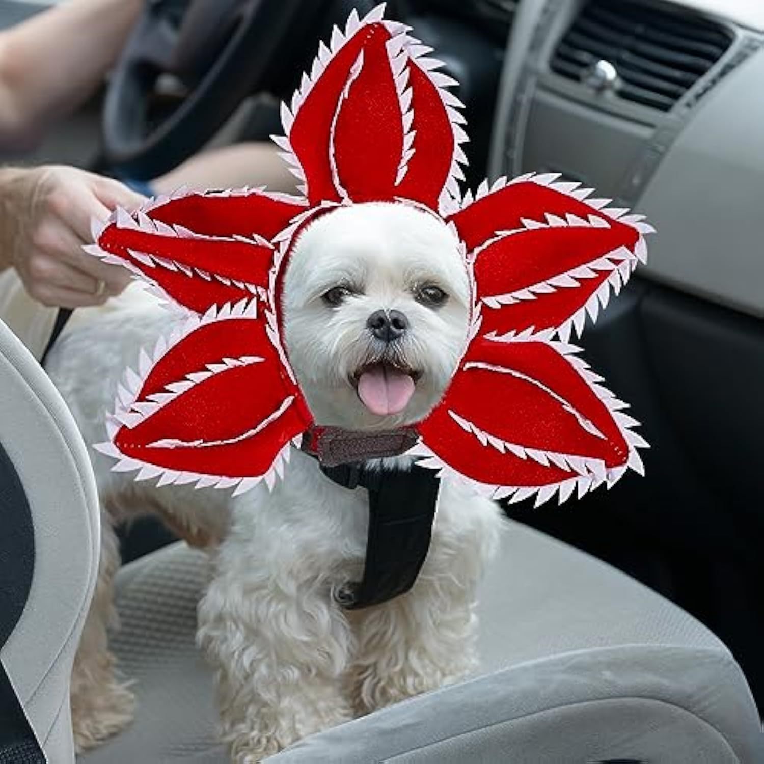 Dog Halloween Chomper Costume