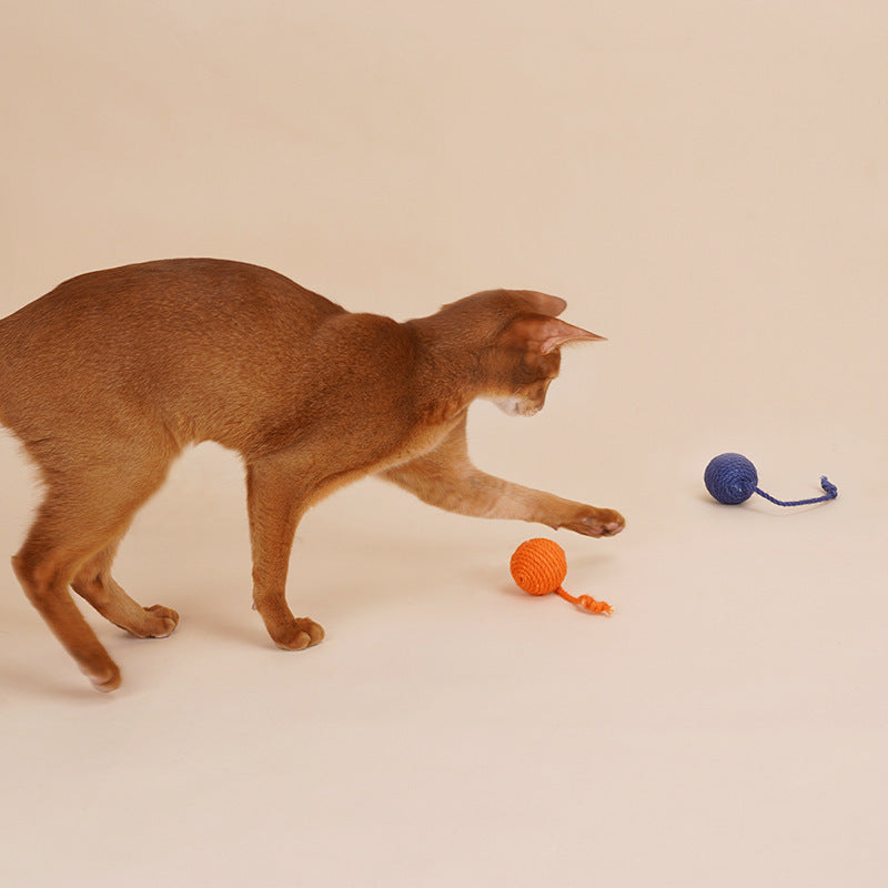 Cat Teaser Stick with Bite-Resistant Catnip Ball Set