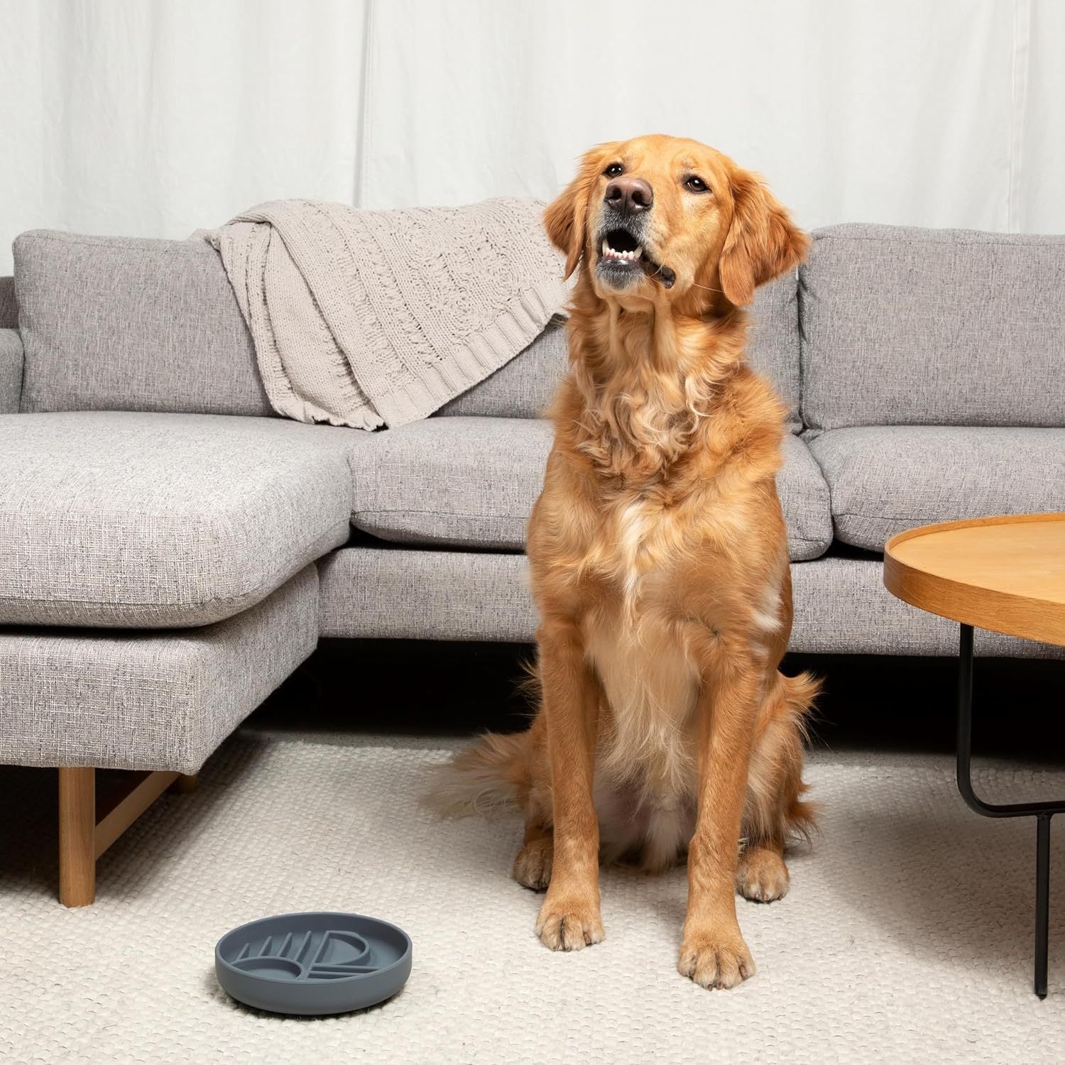 Silicone Slow Feeder Bowl for Dogs