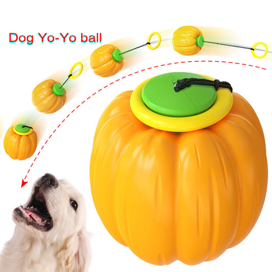 Squeaky Pumpkin Dog Chew Toy