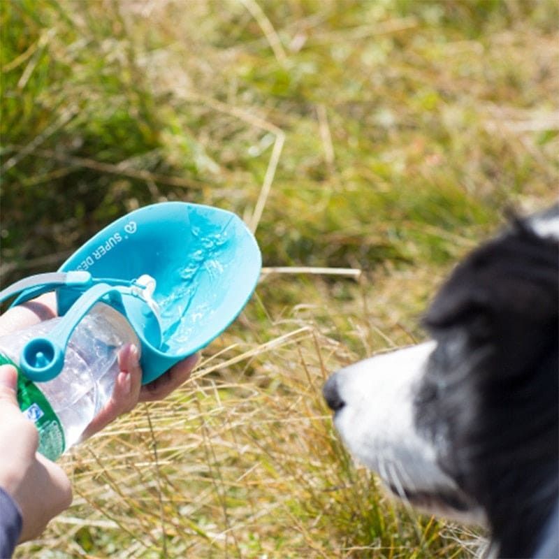 20 OZ Pet Water Bottle