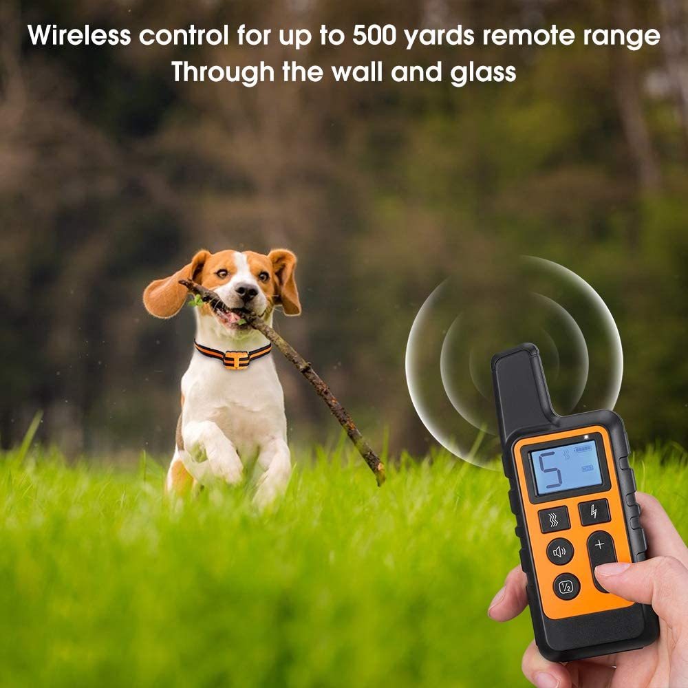 Dog Training Collar with Remote & Rechargeable Battery