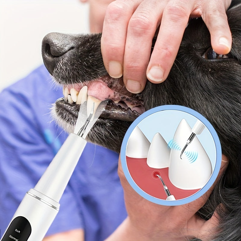 Electric Tooth Cleaner For Pets