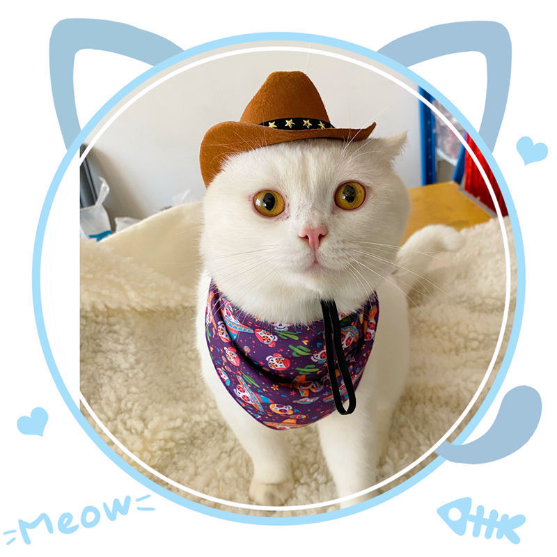 British Style Cowboy Cat Hat