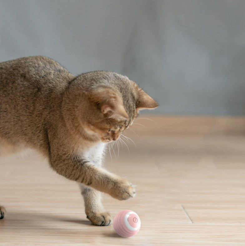 Automatic Moving Bouncing Ball