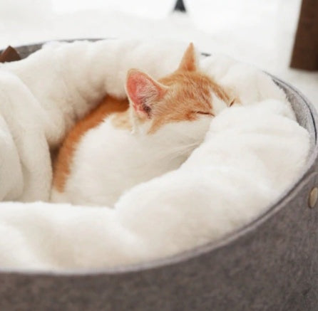 Detachable Pet Bed