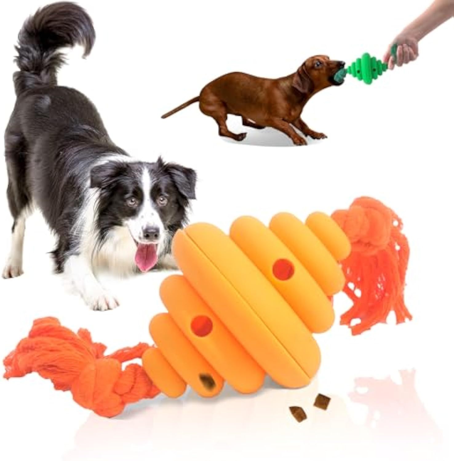 Interactive Dog Ball with Rope Toy