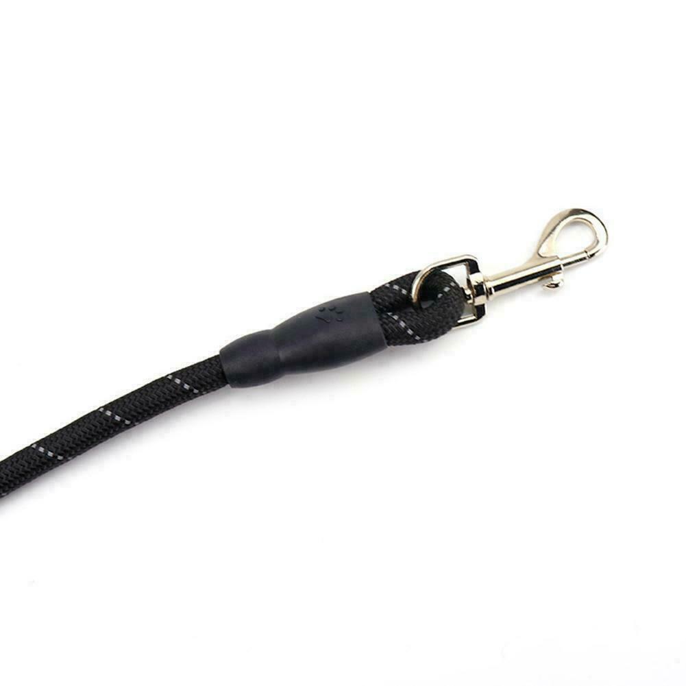 Reflective Elastic Dog Leash with Padded Handle