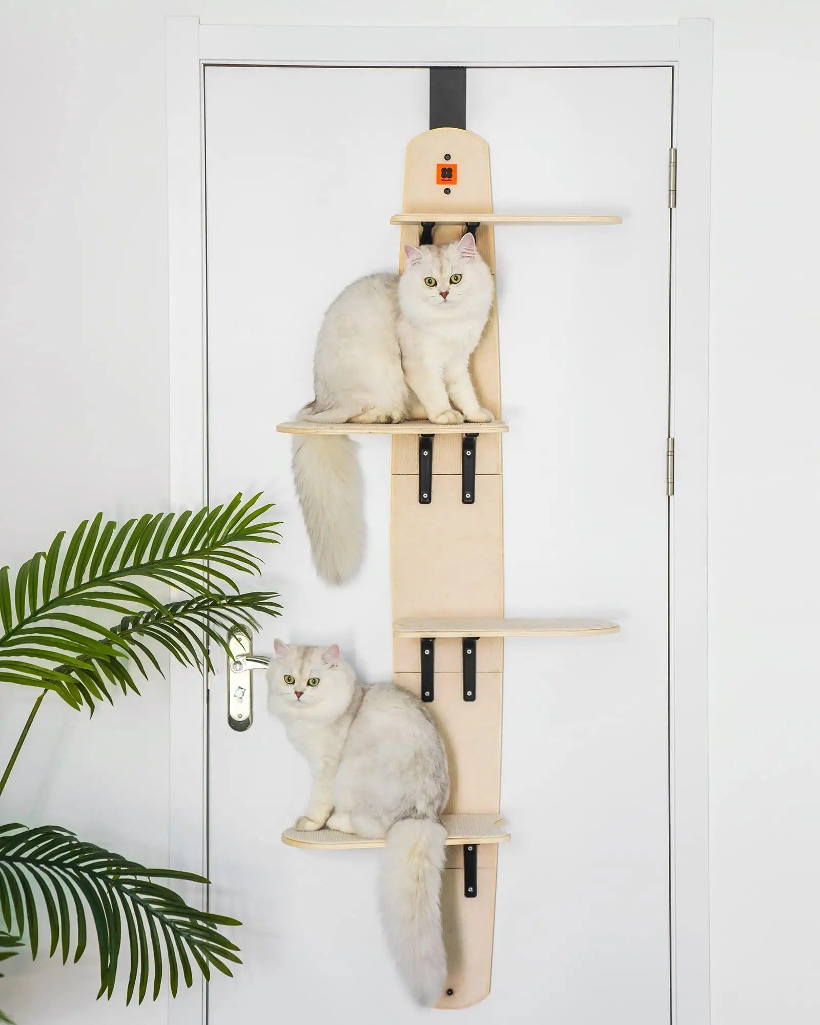 Mewoofun 4-Level Vertical Cat Tree