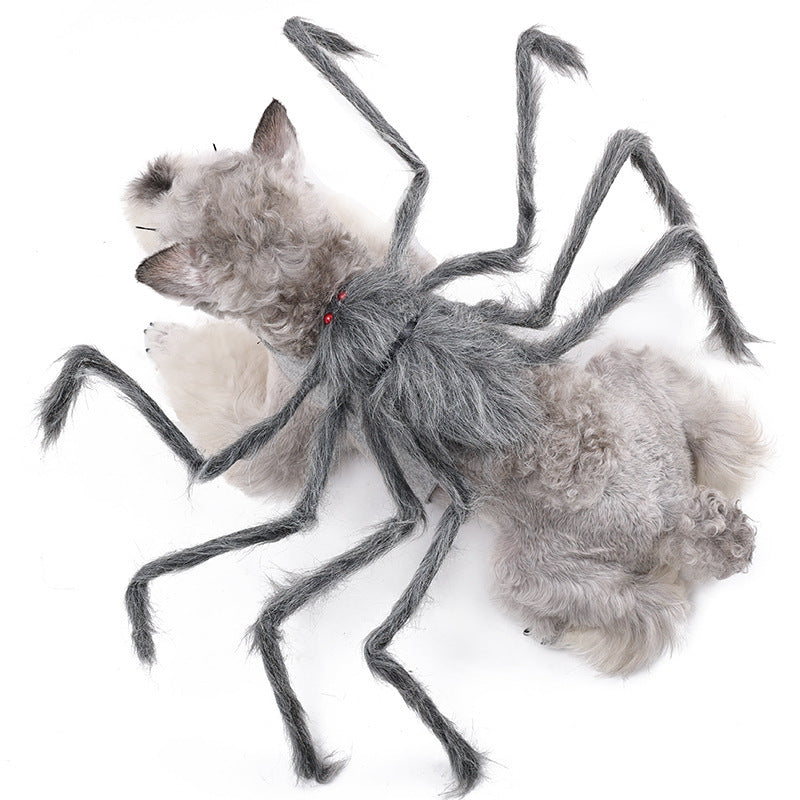 Halloween Spider Pet Costume