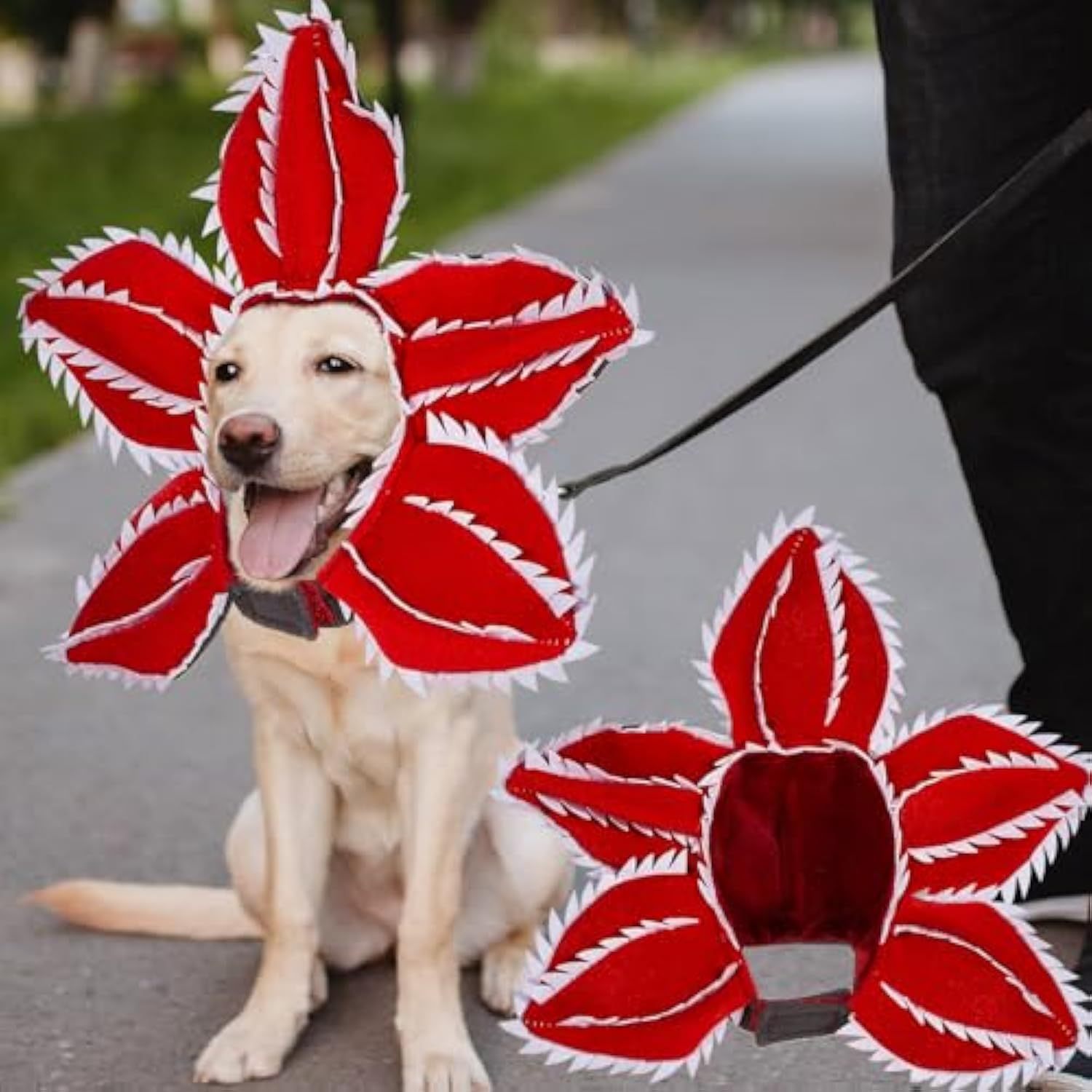 Dog Halloween Chomper Costume