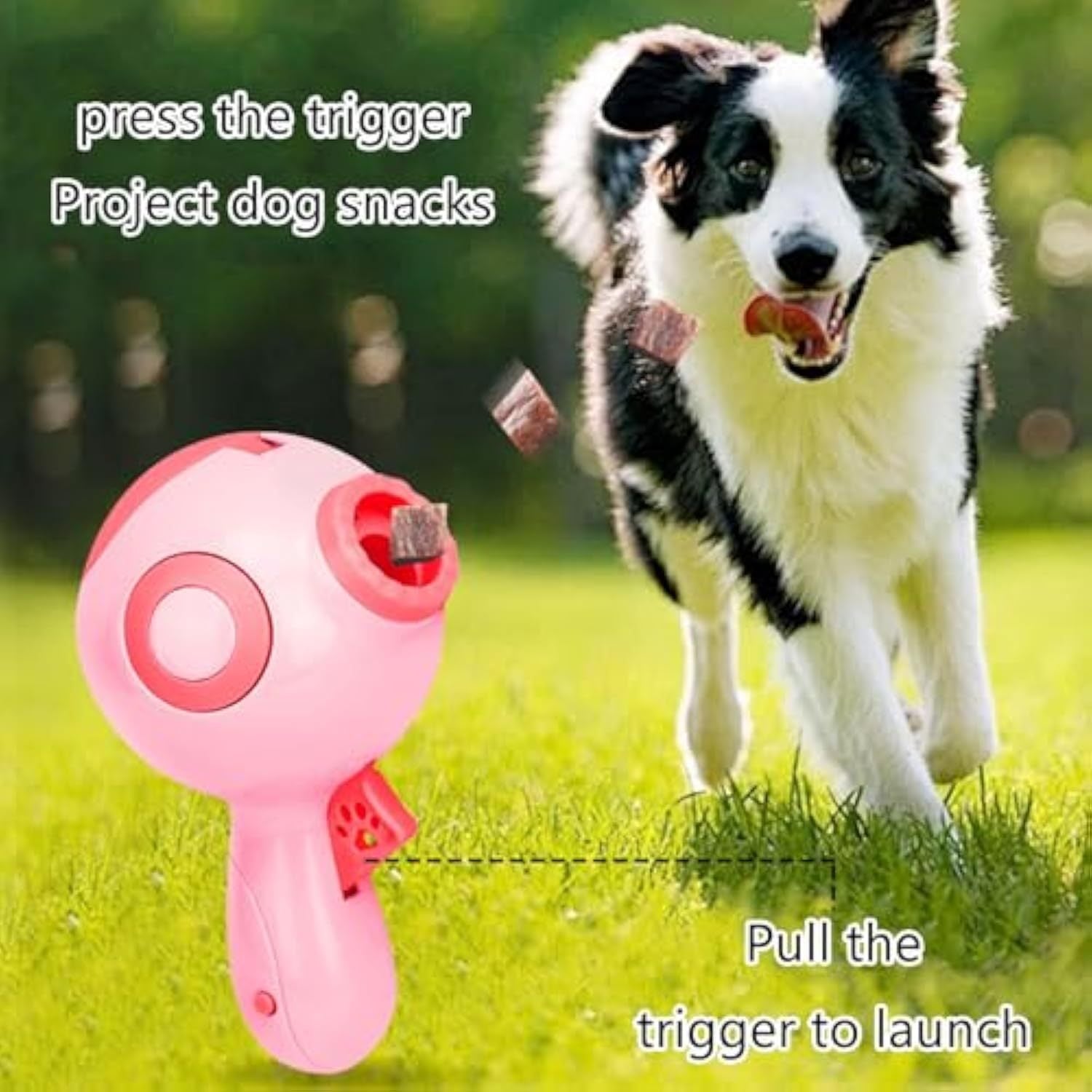 Dogs Treat Launchers Toy