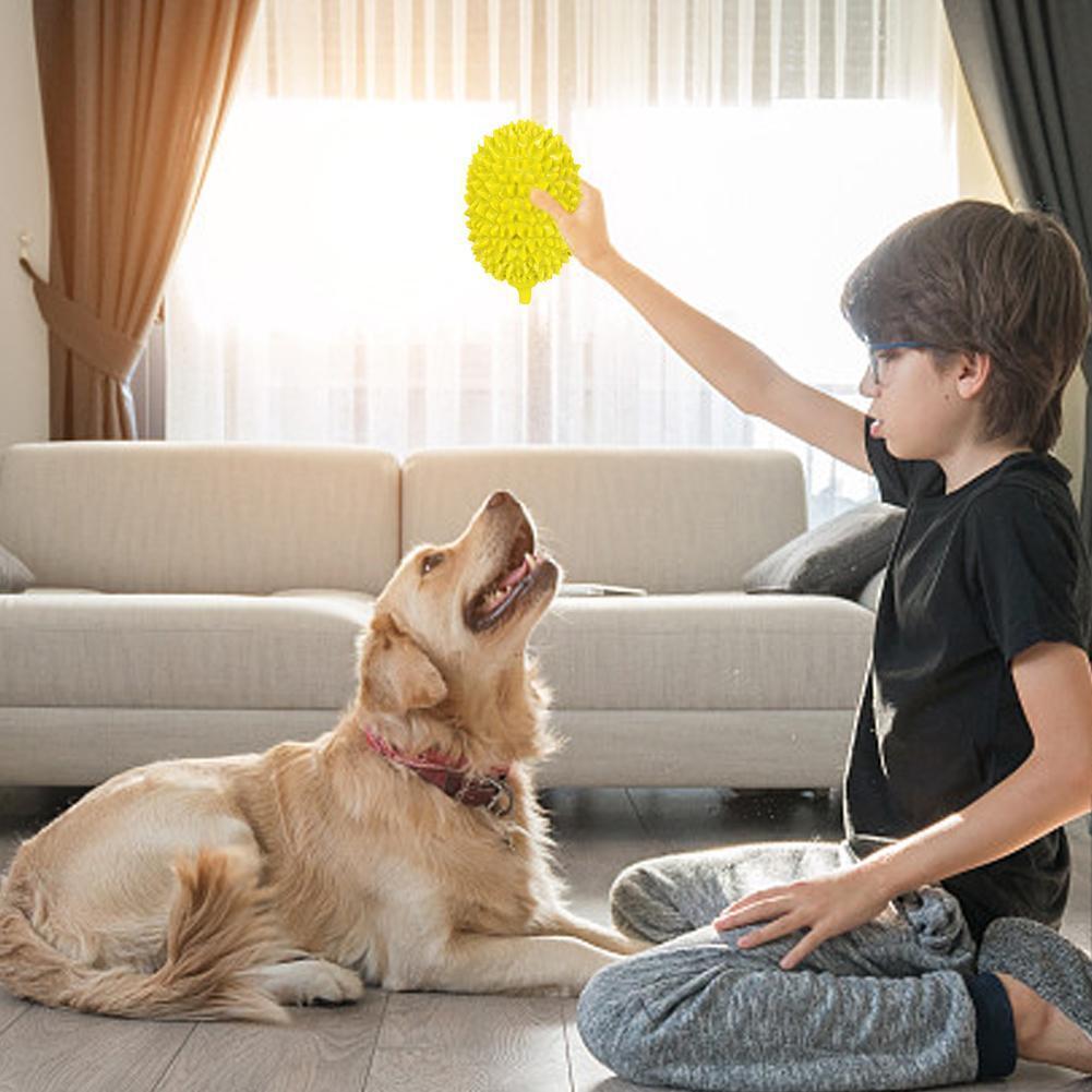 Durian-Shaped Dog Chew Toy