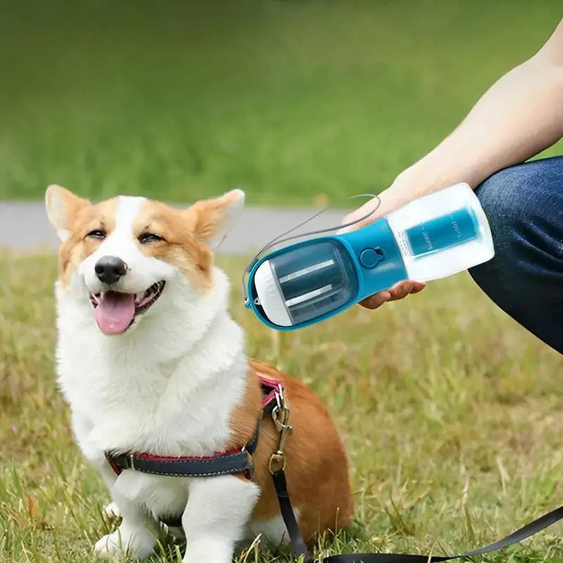 Portable 3-in-1 Pet Water Bottle