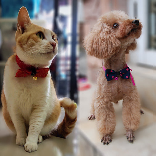 Adjustable Pet Bow Tie with Bell