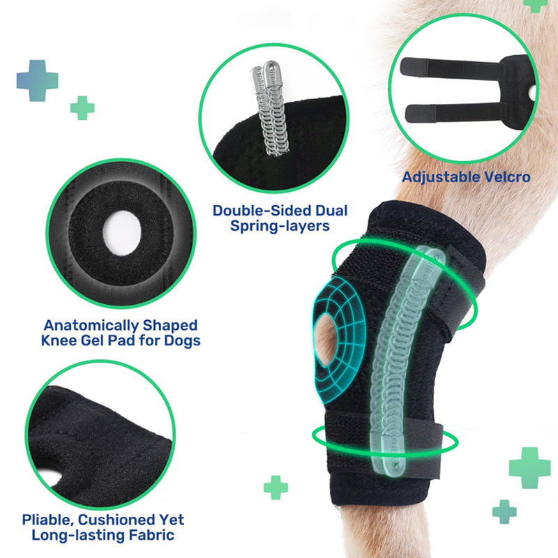 Pet Knee Pads