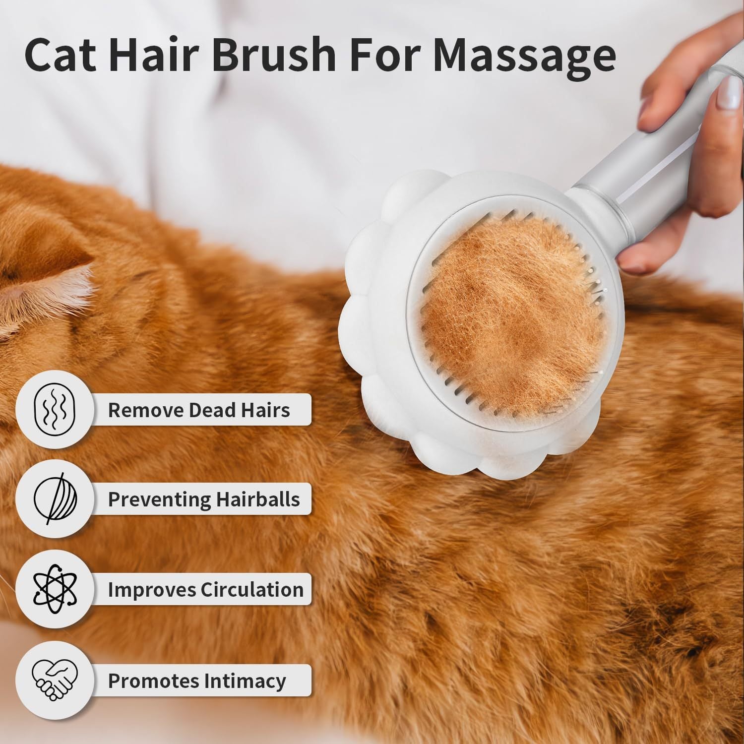 3-in-1 Spray Cat Brush with Release Button