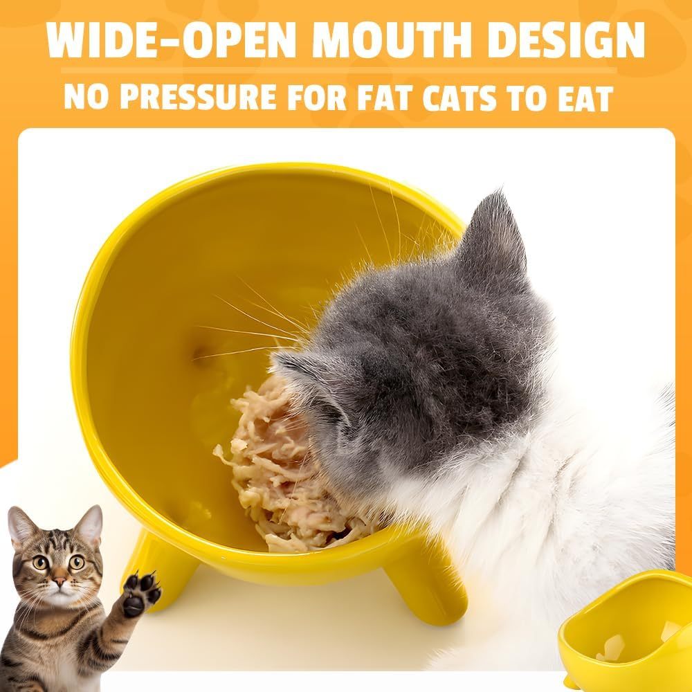 Ceramic Cat & Small Dog Food Bowl