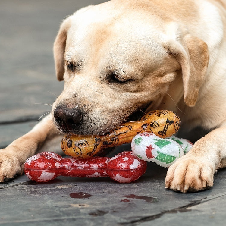 Squeaky Bone Chew Toy for Dogs