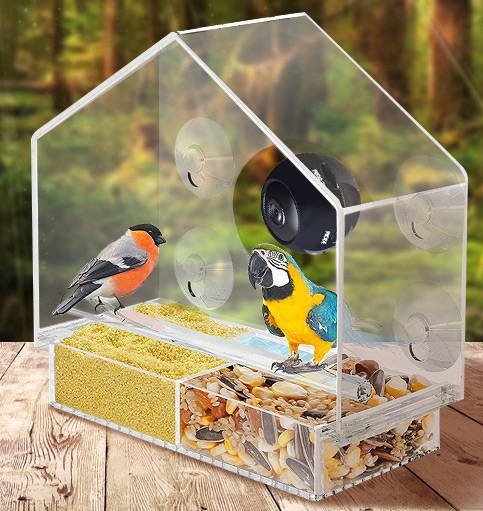 Smart Bird Feeder with Camera for Window Mounting