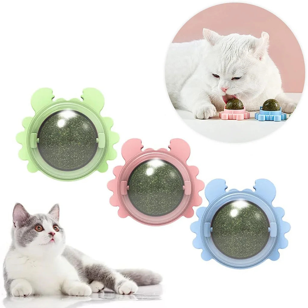 Catnip Toy Ball for Cats