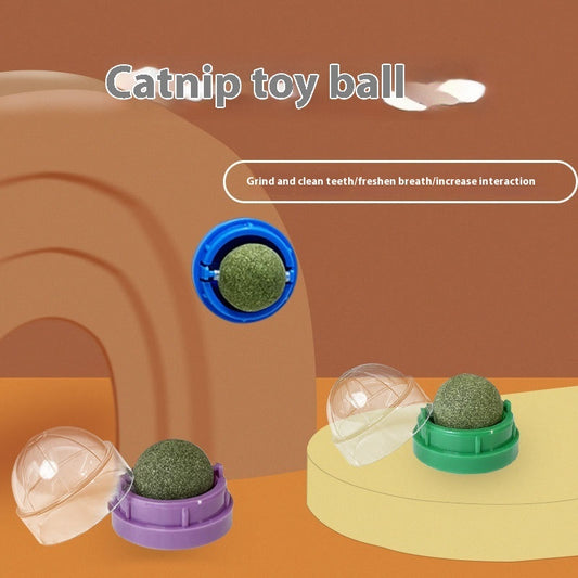 Catnip Ball Toy for Kittens