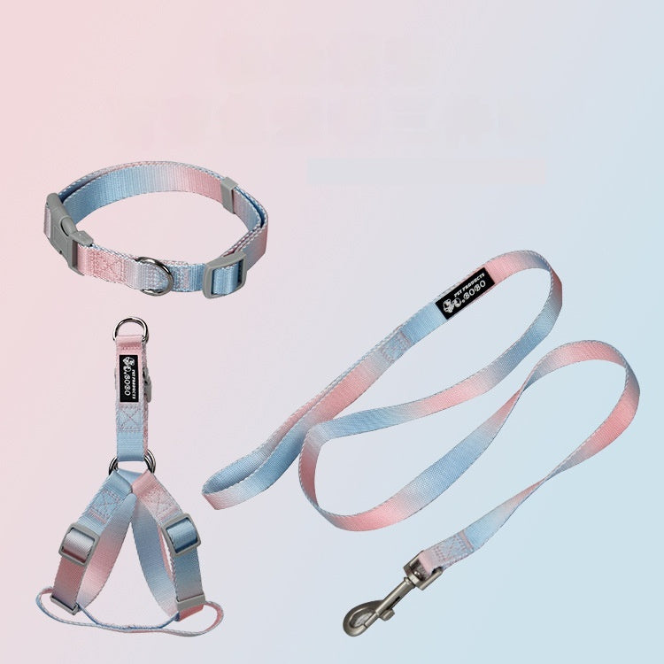 Gradient Color Pet Leash Set