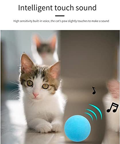 Interactive Gravity Ball Sounding Cat Toy