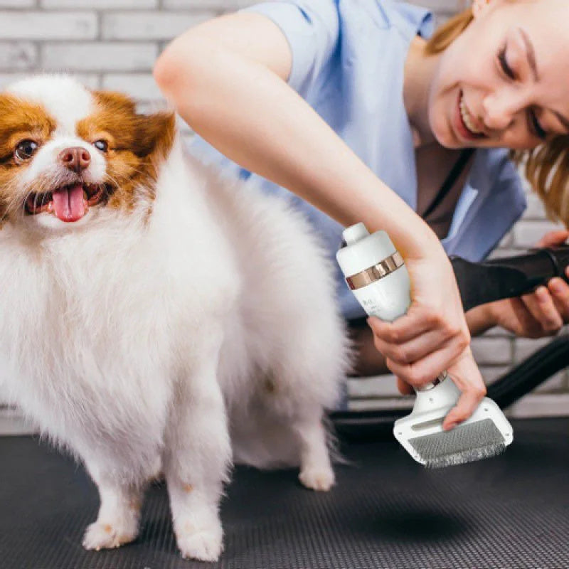 Pet Hair Dryer Brush for Dogs & Cats