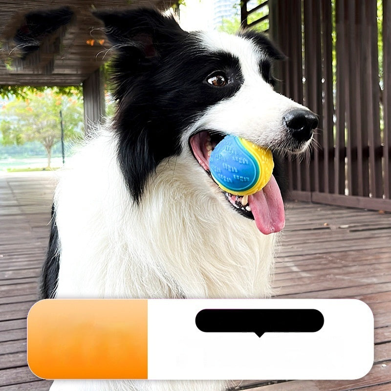 Long-Lasting Sounding Dog Molar Ball