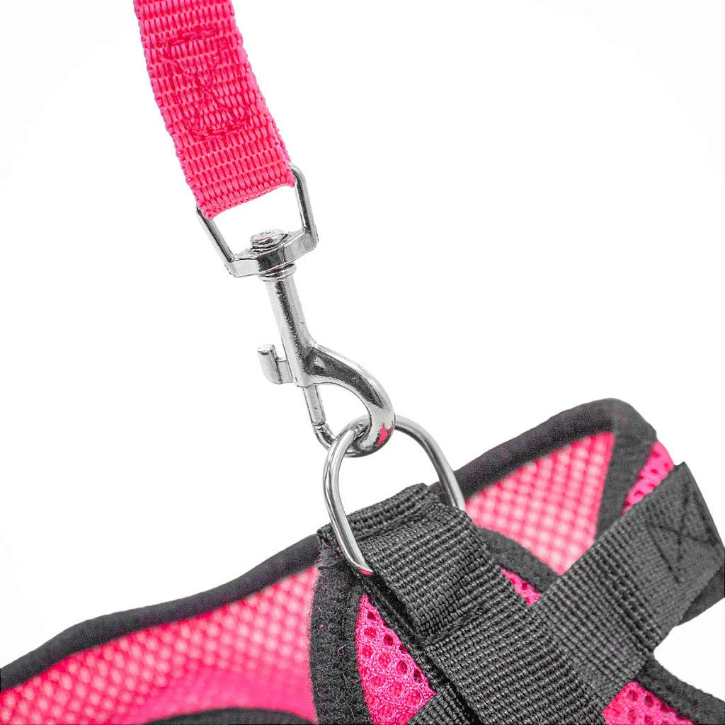 Reflective Harness with Leash for Dogs and Cats