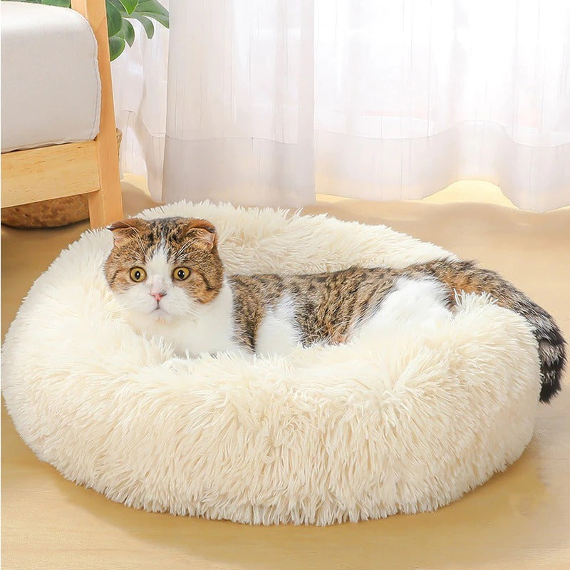 Soft Washable Dog Bed