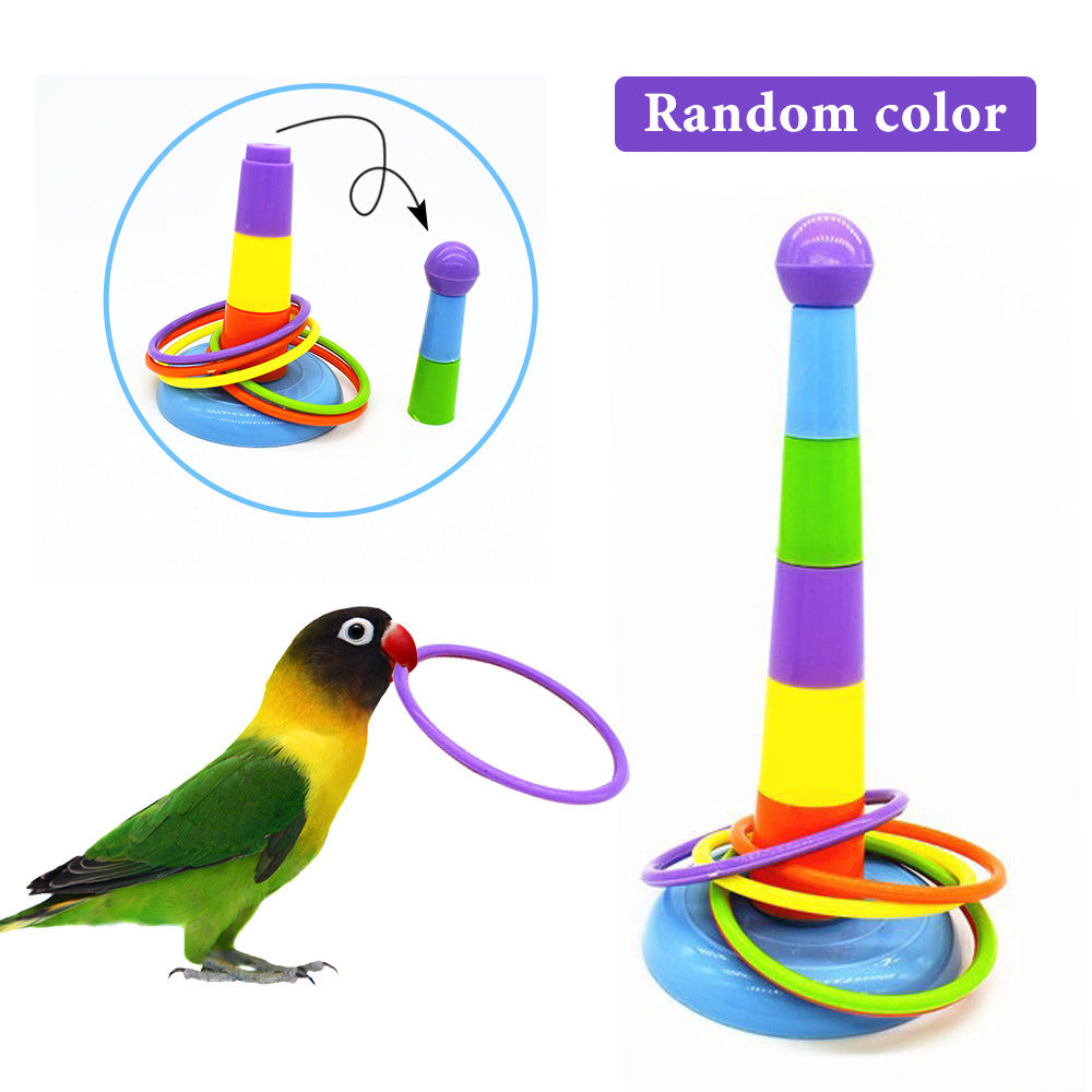 Parrot Toy