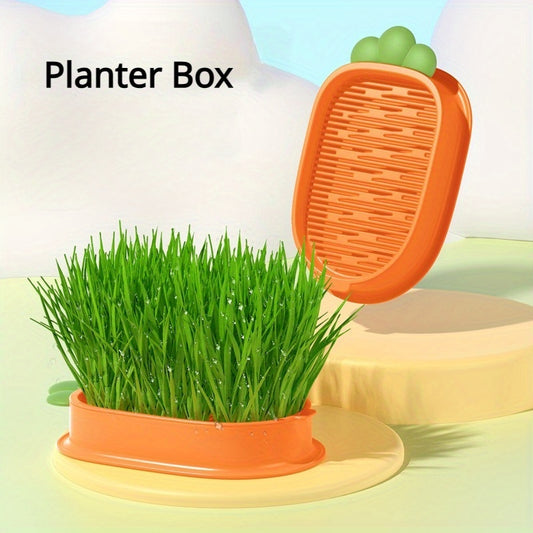 Carrot Design Cat Grass Kit with Planting Box and Seeds