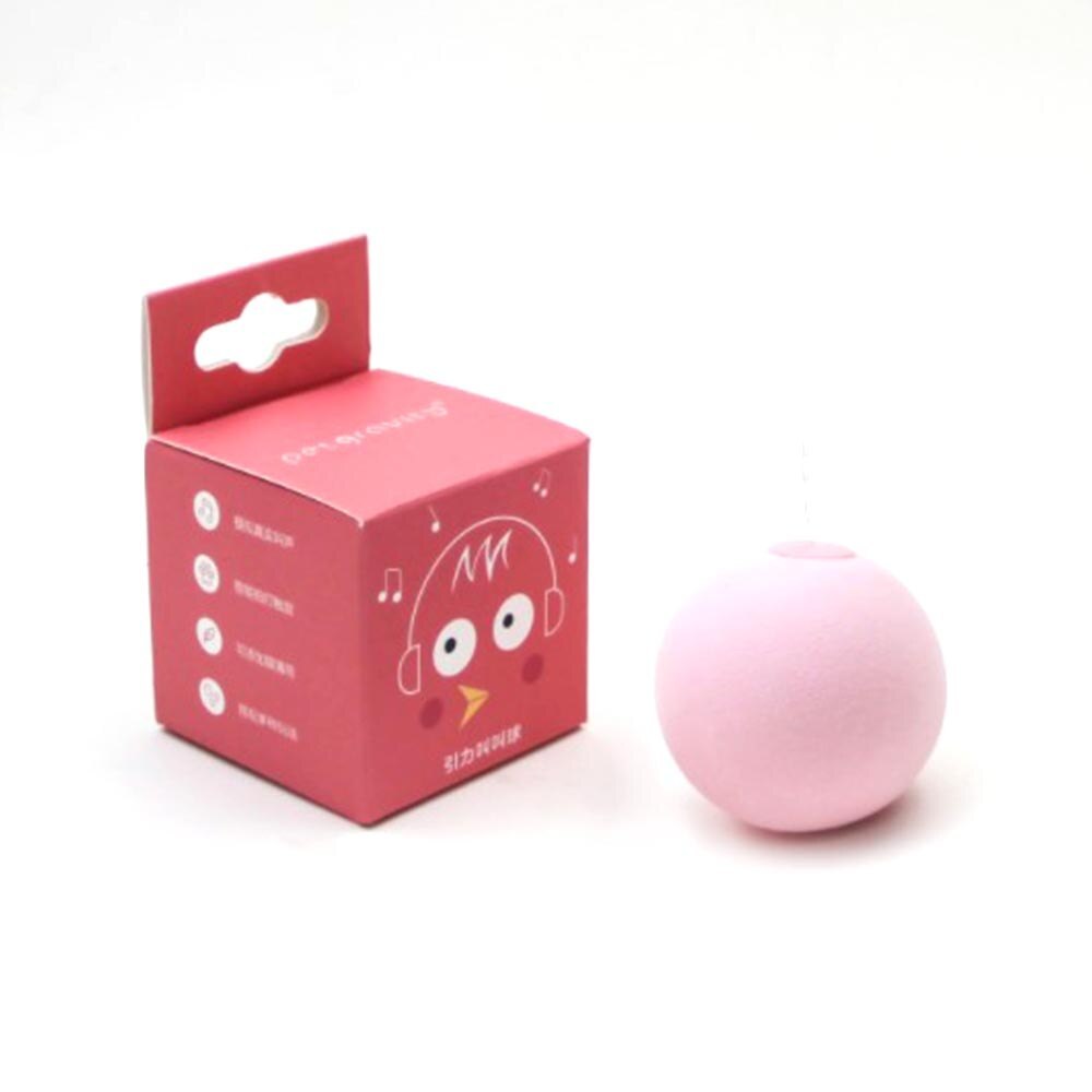 Interactive Gravity Ball Sounding Cat Toy