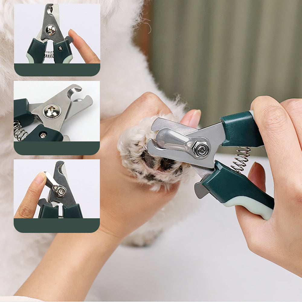 Professional Cordless Dog Grooming Kit