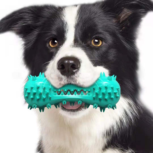 Pet Dog Cleaning Chew Toy