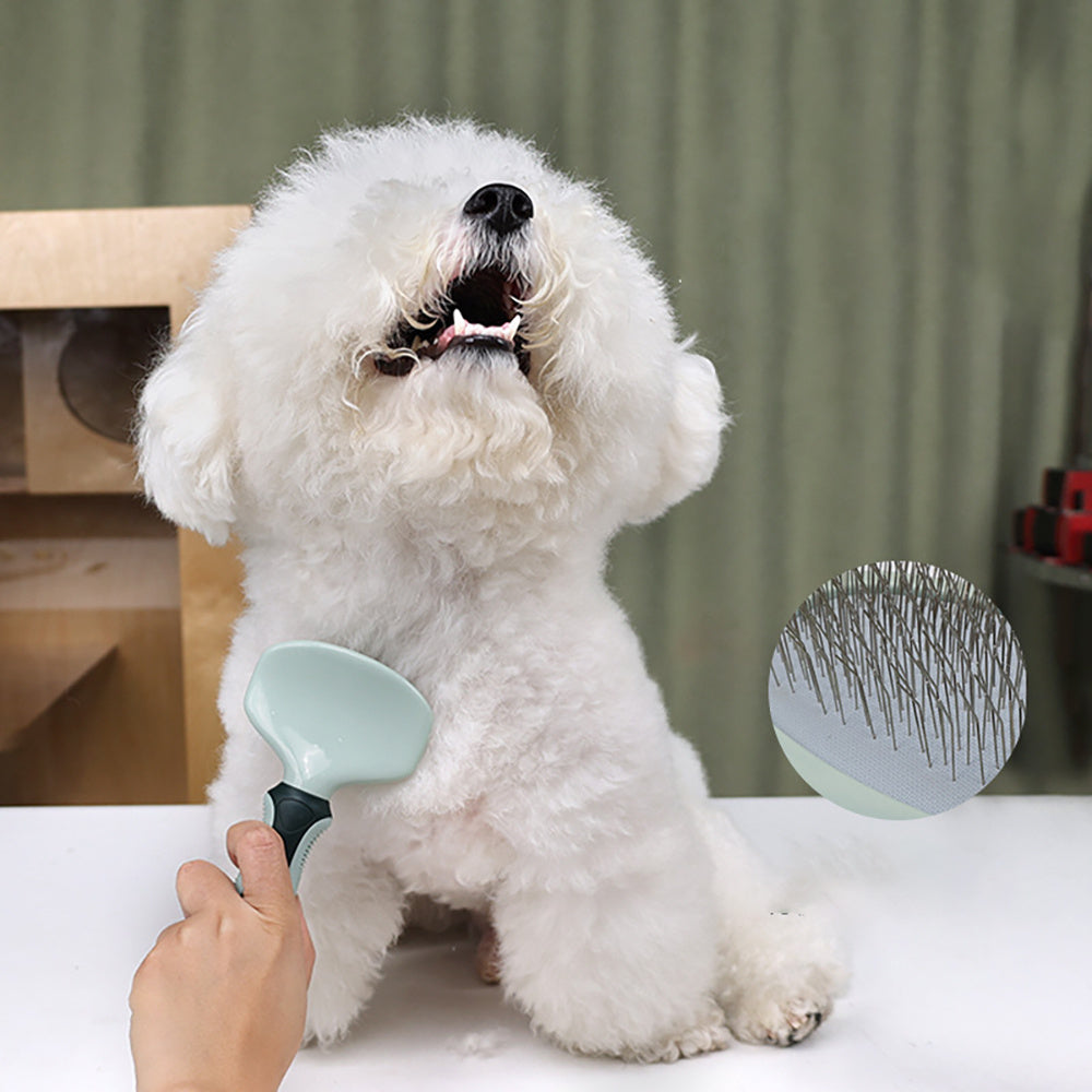 Professional Cordless Dog Grooming Kit