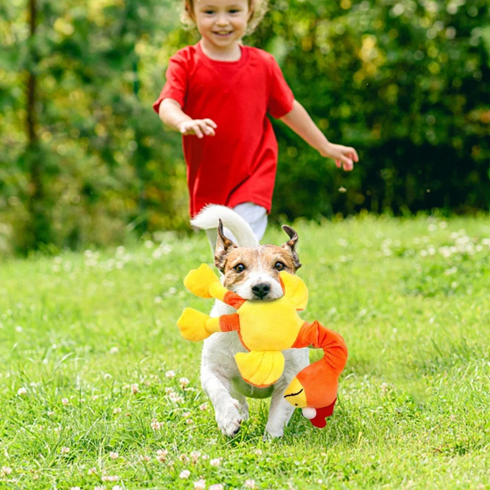 Screaming Chicken Chew Toy for Dogs