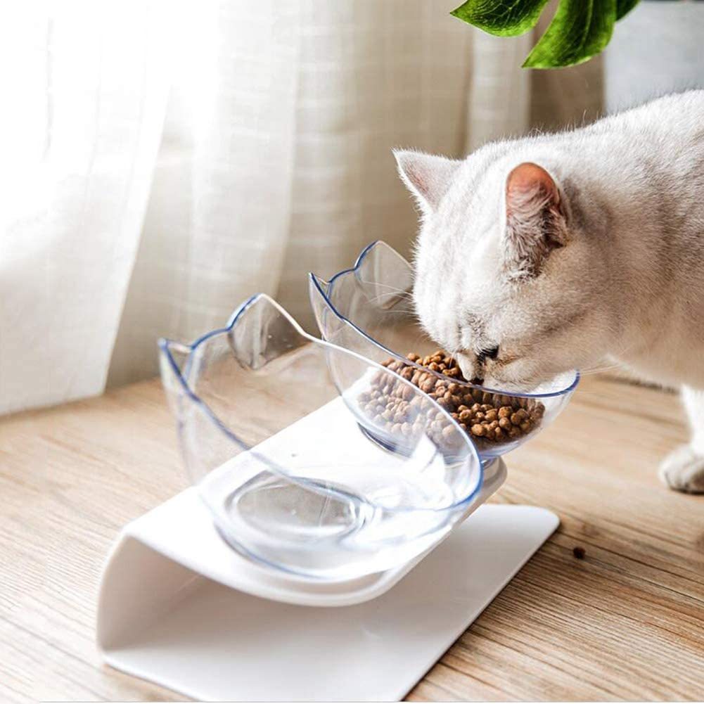 Non-Slip Double Cat Bowl