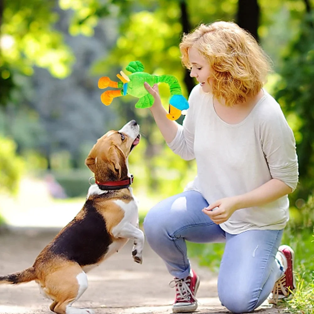 Screaming Chicken Chew Toy for Dogs