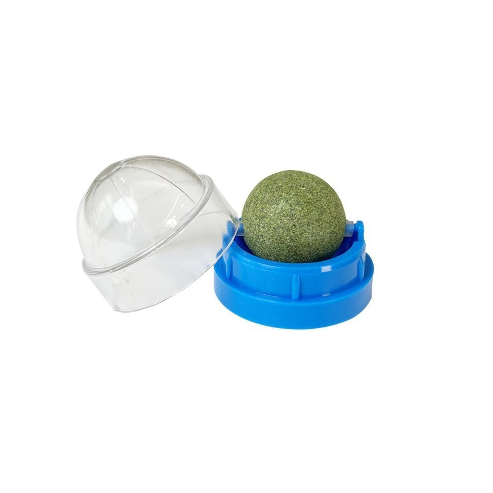 Catnip Ball Toy for Kittens