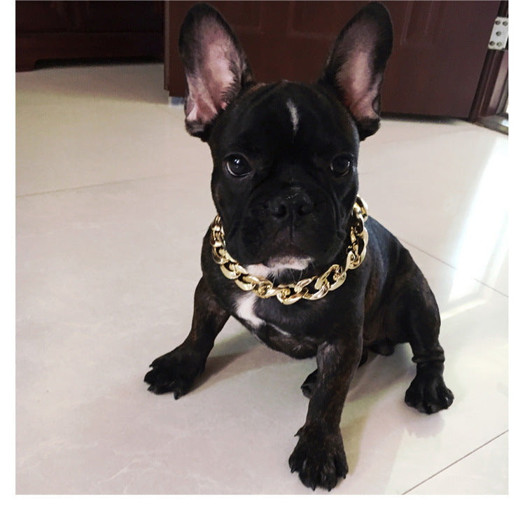 Gold Chain Dog Collar