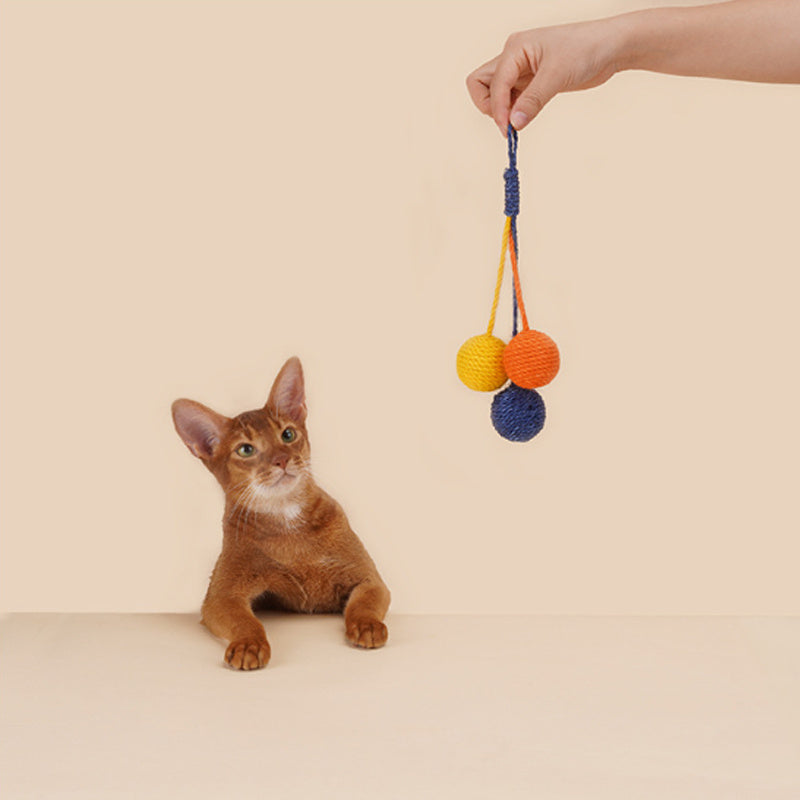 Cat Teaser Stick with Bite-Resistant Catnip Ball Set