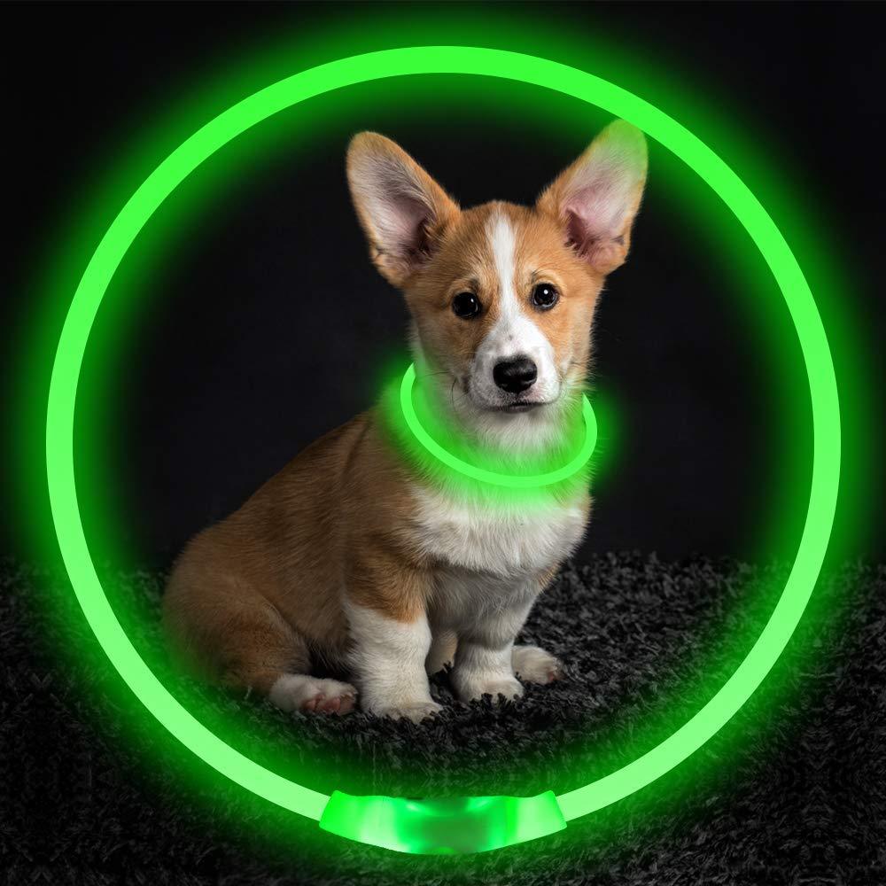 USB Rechargeable LED Pet Collar