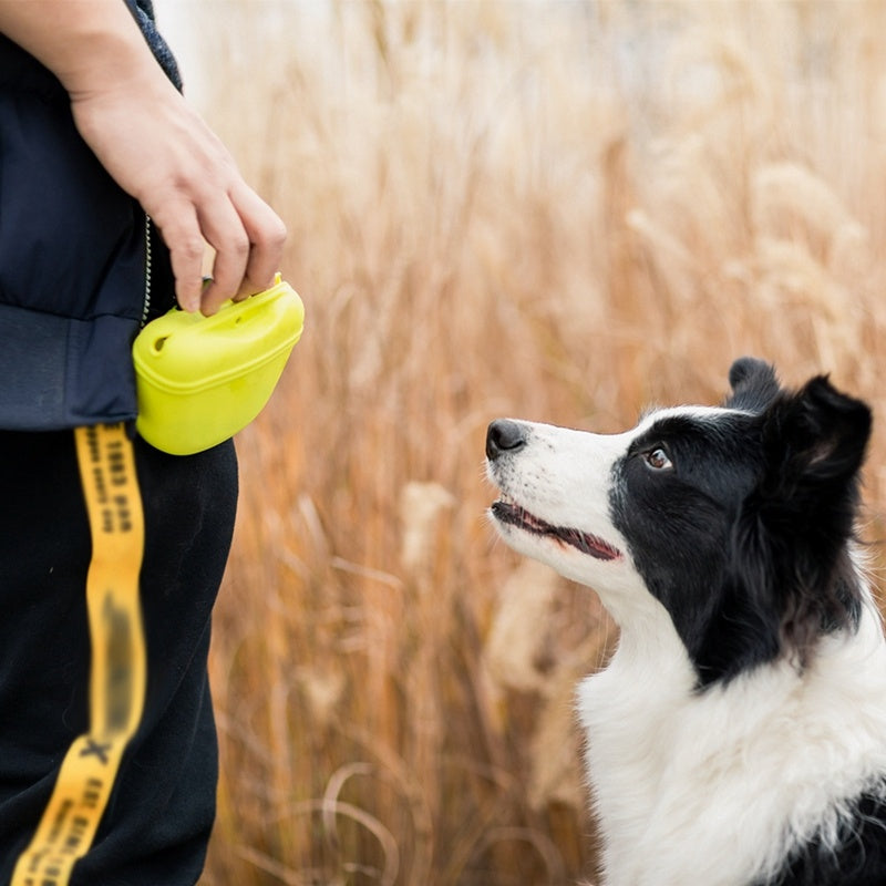 Pet Treat Training Waist Bag