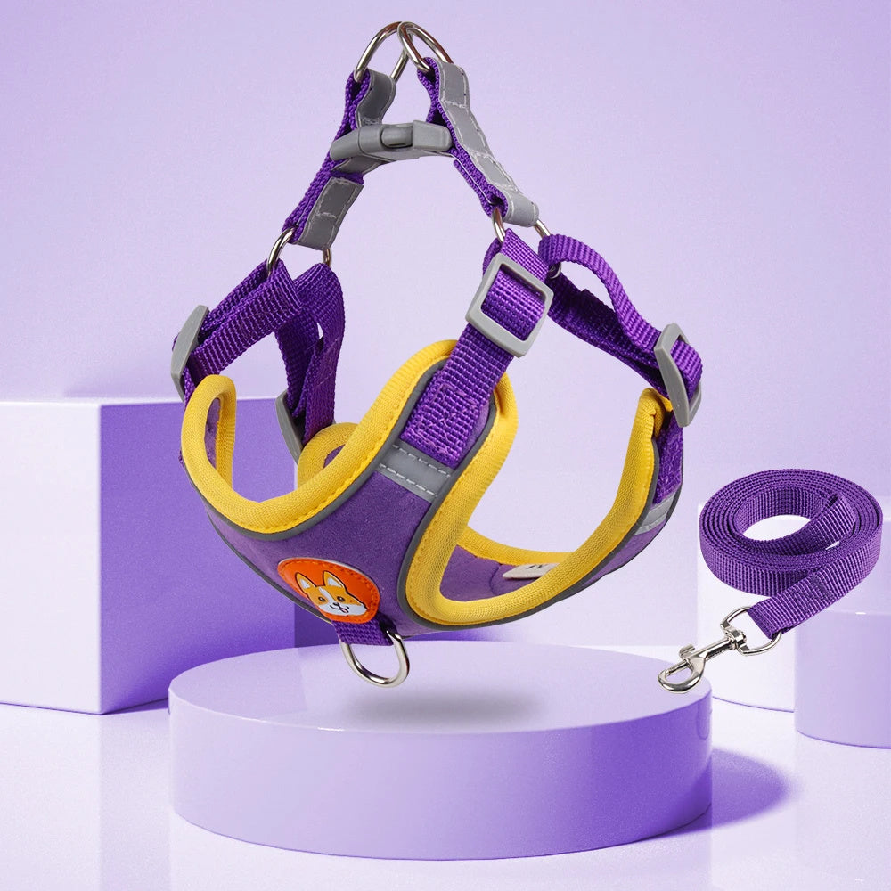 Reflective No-Pull Dog Harness and Leash Set