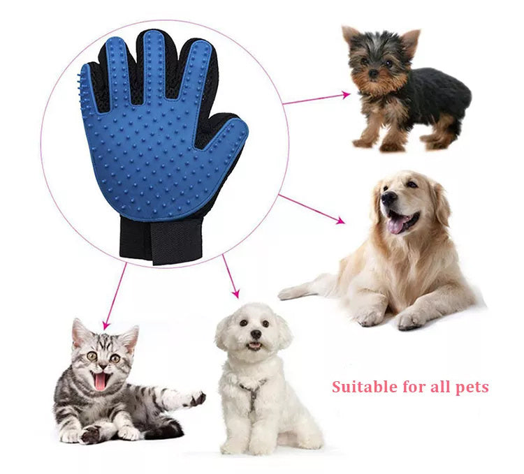 Disposable Pet Grooming & Cleaning Gloves