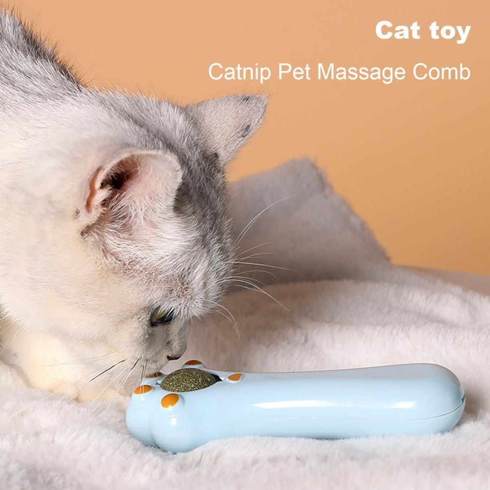 Cartoon Cat Toy & Massage Comb